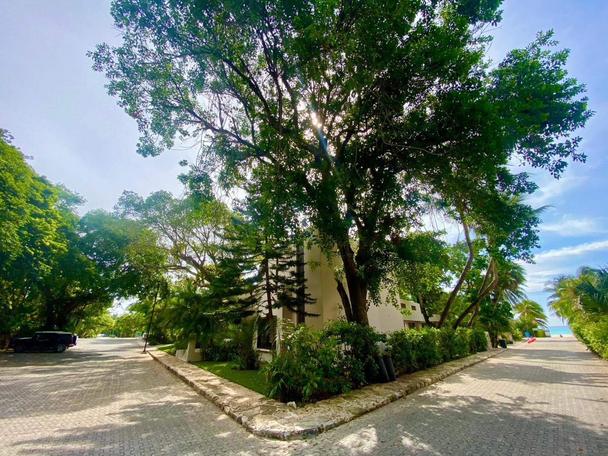 Villa Almendra Playacar 1 Playa del Carmen Zewnętrze zdjęcie